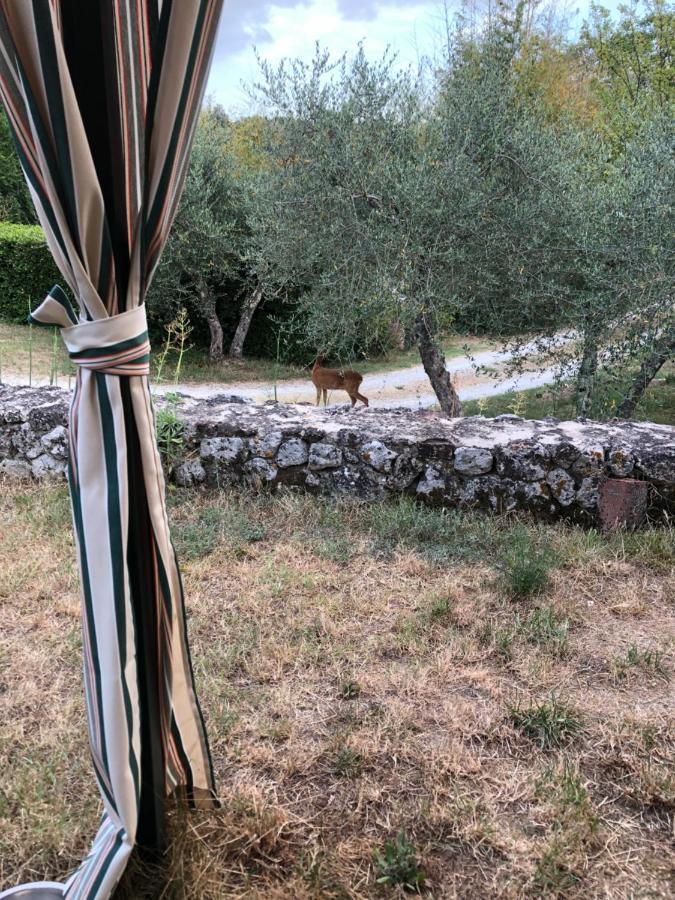 Appartamento La Locaia Siena Esterno foto