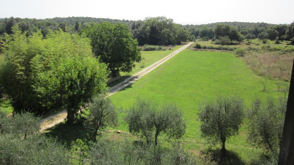 Appartamento La Locaia Siena Esterno foto
