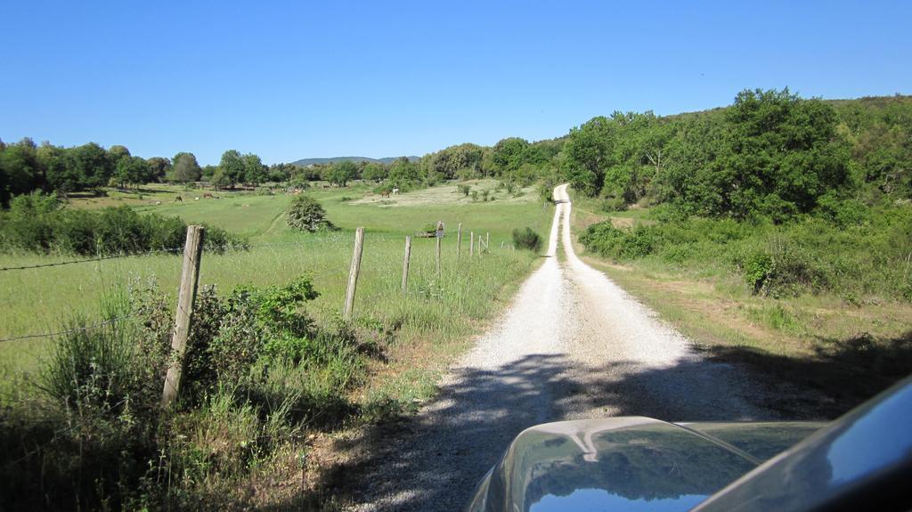 Appartamento La Locaia Siena Esterno foto